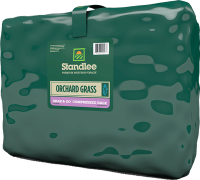 Standlee Premium Orchard Grass Grab & Go® Compressed Bales