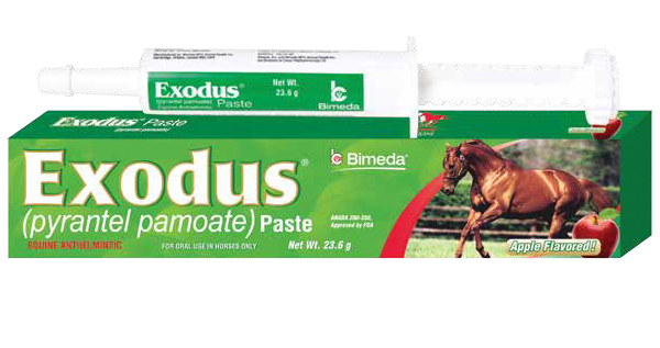 Bimeda Exodus® Paste (pyrantel pamoate)