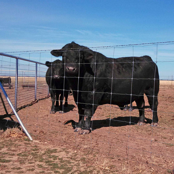 Deacero Fixed Knot Fencing Cattle Tuff